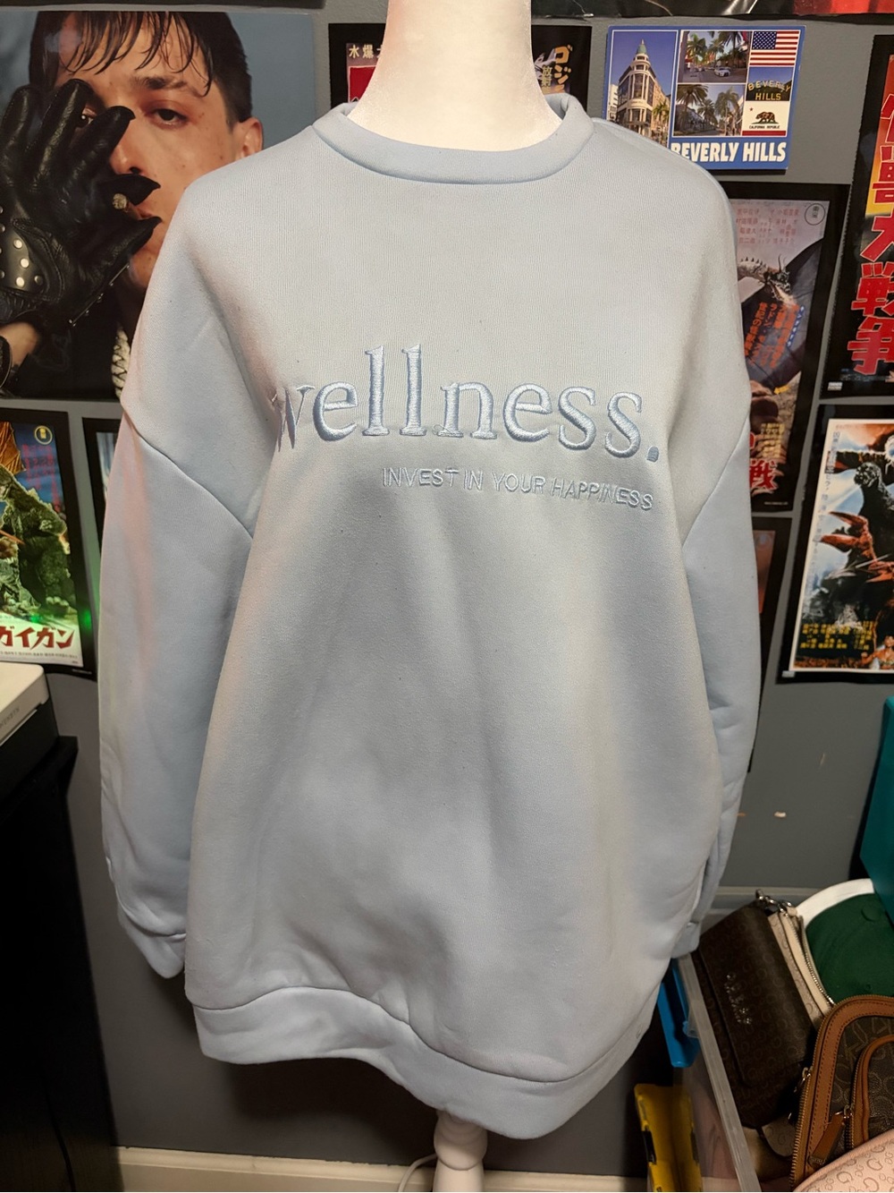 SHEIN Light Blue 'Wellness' Embroidered Crewneck Sweater